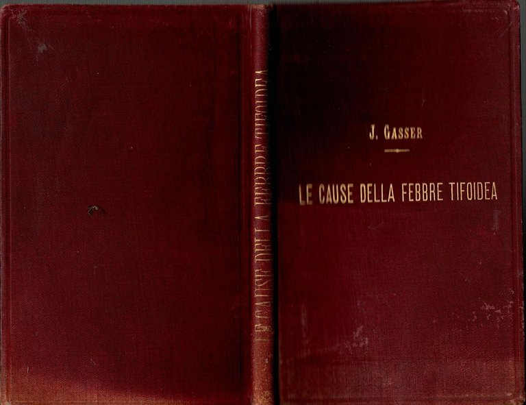 LE CAUSE DELLA FEBBRE TIFOIDEA di J Gasser 1893 UTET …