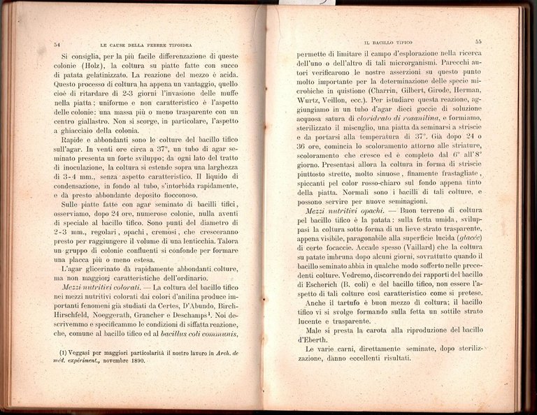 LE CAUSE DELLA FEBBRE TIFOIDEA di J Gasser 1893 UTET …