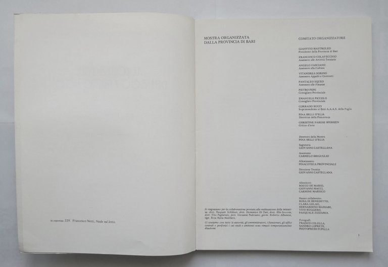 LE COLLEZIONI DELL'800 PRIMO 900 Farese Sperken mostra Pinacoteca Bari …