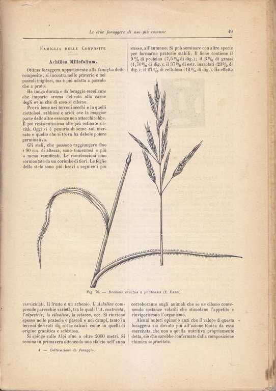 LE COLTIVAZIONI DA FORAGGIO di Bassi e Bresaola 1928 UTET …
