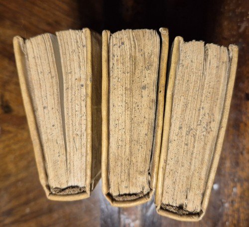 LE CURIOSE AVVENTURE DEL CAVALIER DI BEAUCHENE di De la …