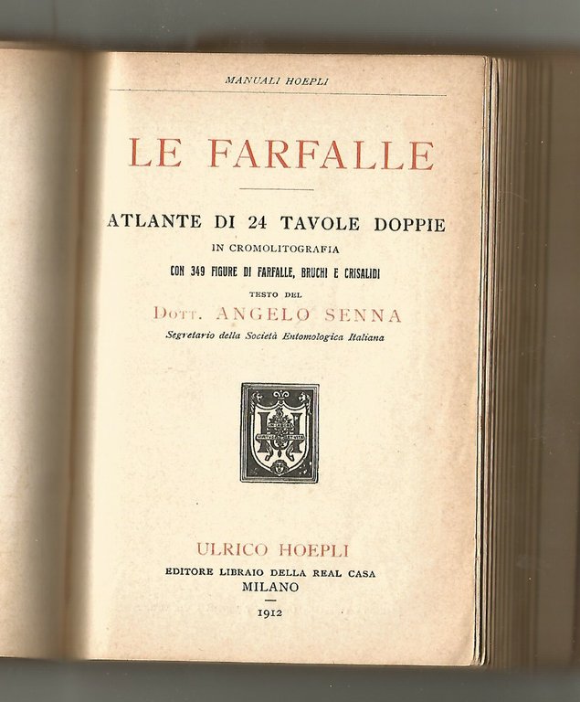 LE FARFALLE ATLANTE Angelo Senna 1912 Ulrico Hoepli manuali MANCANO …