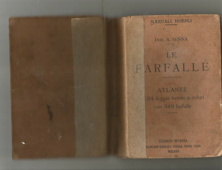 LE FARFALLE ATLANTE Angelo Senna 1912 Ulrico Hoepli manuali MANCANO …