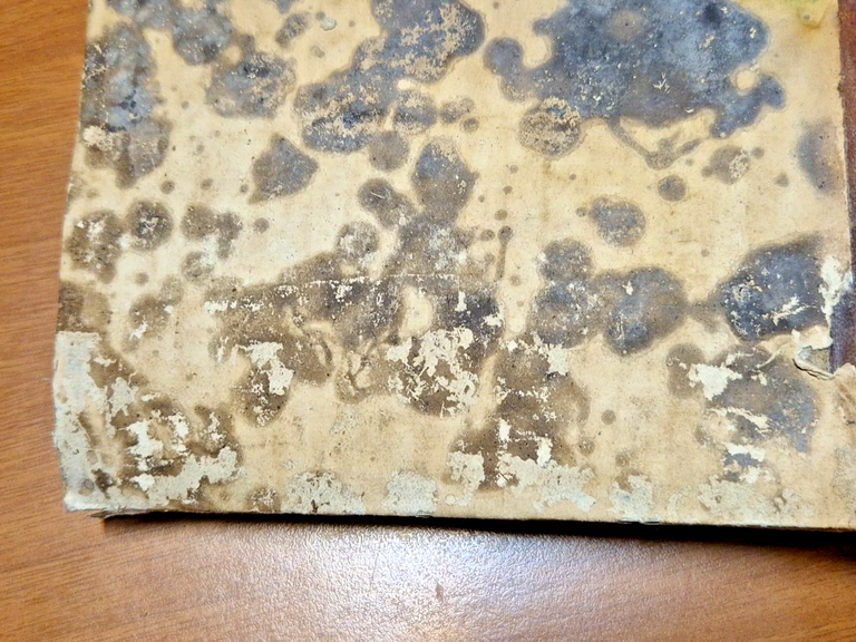 LE LEGGI DELLA PROCEDURA CIVILE volume 1 e 2 di …