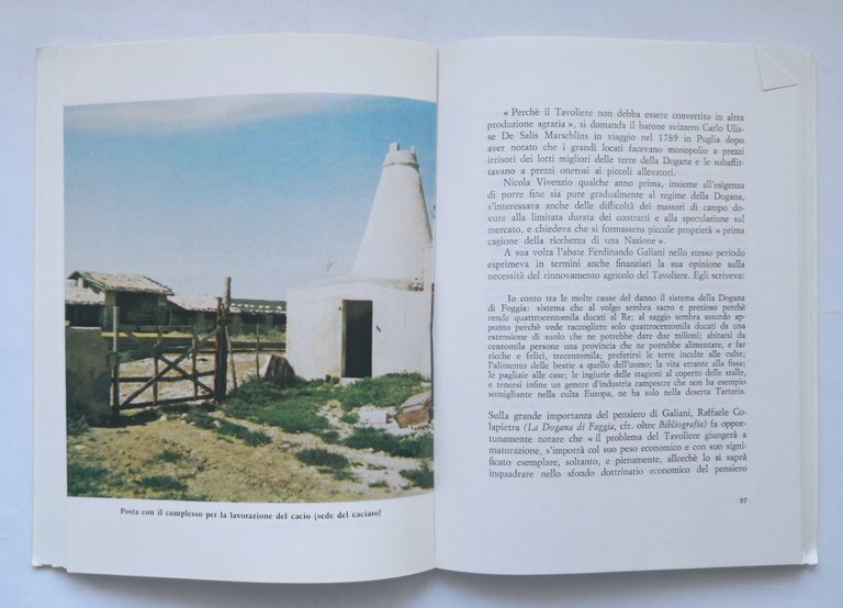 LE LUNGHE VIE ERBOSE di Italo Palasciano 1981 tratturi pastori …