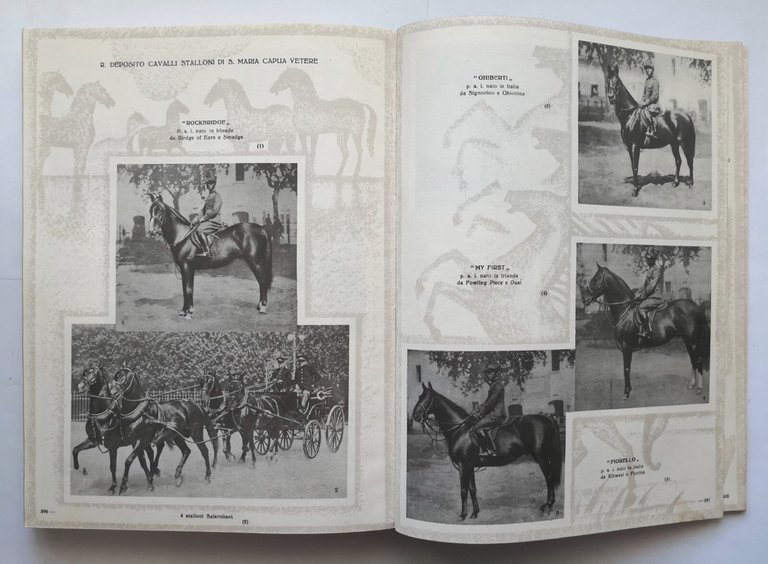 LE MANIFESTAZIONI AGRICOLE DEL DECENNALE 1932 Sindacato Nazionale Fascista Libro