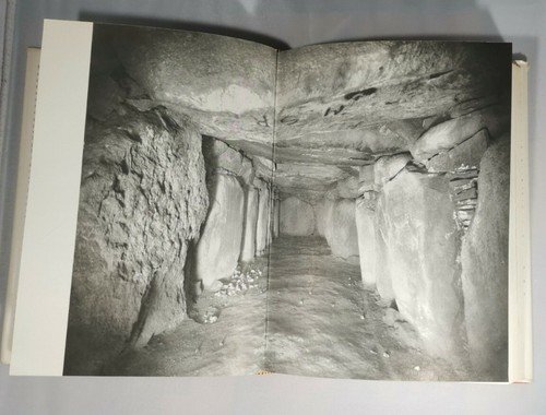 LE NAVI DEI VICHINGHI avventure archeologiche di Geoffrey Bibby libro …