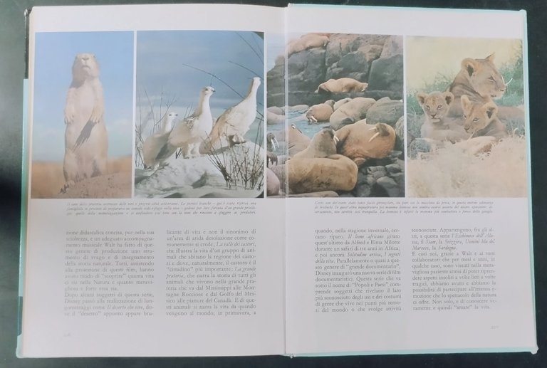 LE NOSTRE PRIME LEGGENDARIE IMPRESE di Walt Disney 1966 Mondadori …