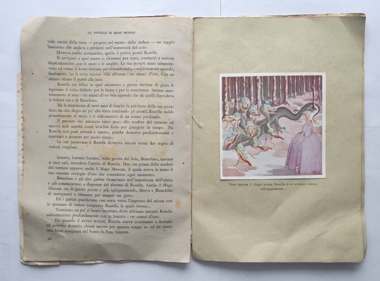 LE NOVELLE DI MAGO MUSONE di Tullio Fiori 1945 Tariffi …