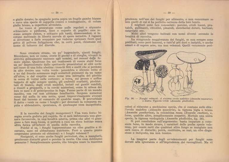 LE PIANTE E LE STAGIONI di Francesco Caldari 1950 Vallecchi …