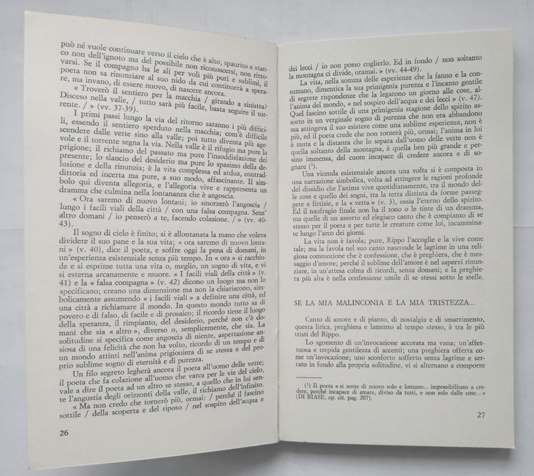 LE POESIE DI VINCENZO RIPPO lettura critica Giuseppe D'Errico volum …