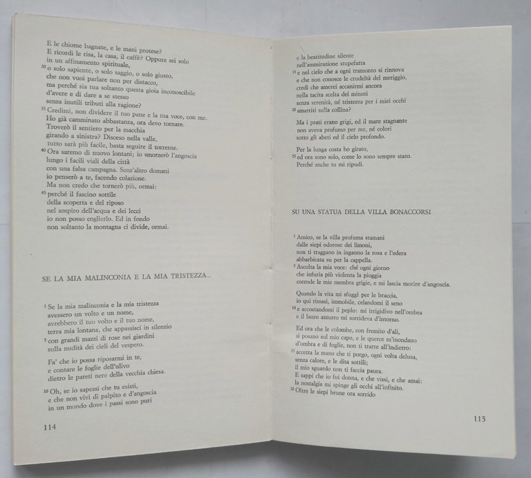 LE POESIE DI VINCENZO RIPPO lettura critica Giuseppe D'Errico volum …