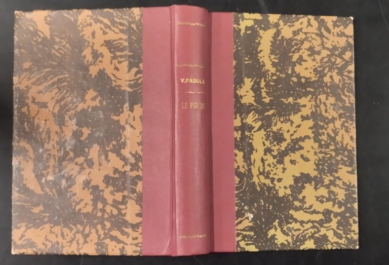LE POESIE + VARIE E DIALETTALI di Vincenzo Padula 2 …