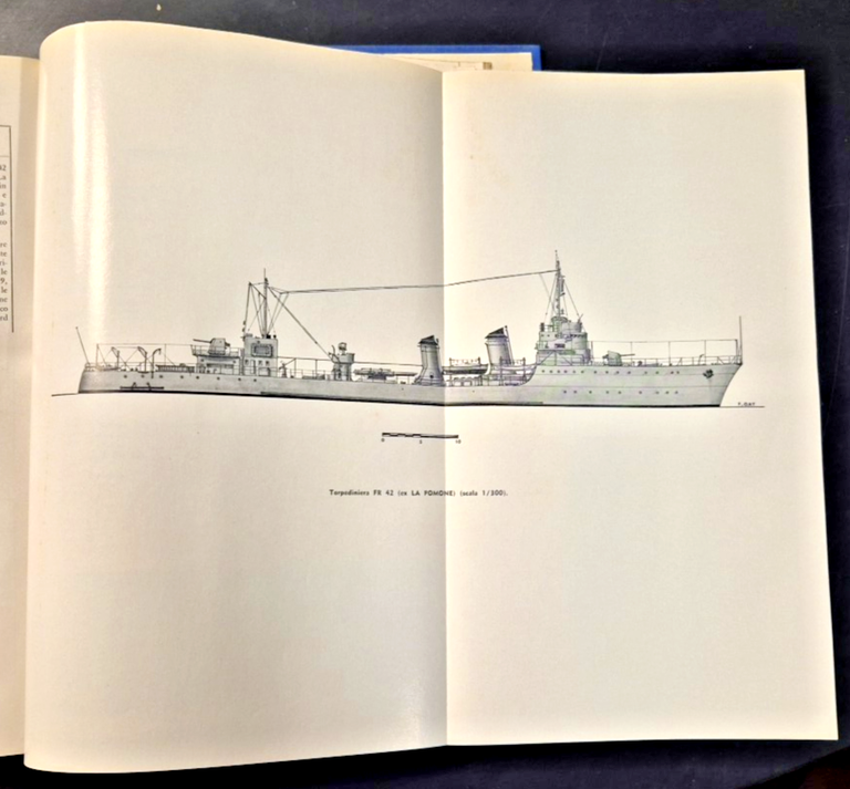 LE TORPEDINIERE ITALIANE 1881 1964 Ufficio Storico Marina militare 1974 … | Immagine Gallery 7