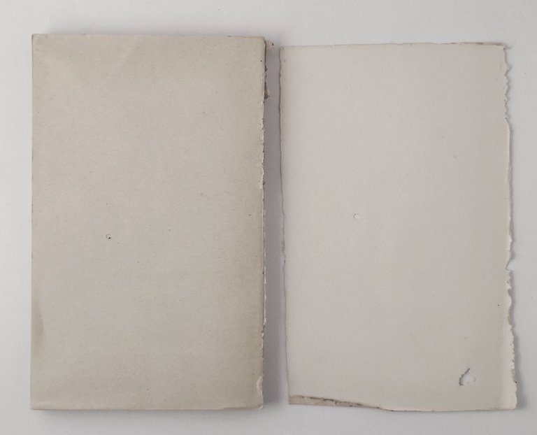 LE TURBE LO SEGUIVANO di Anna Cristofoli 1926 Santa Lega …