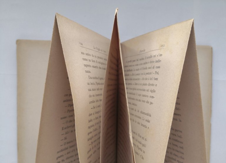 LE VEGLIE DI NERI di Renato Fucini 1907 Hoepli Libro …