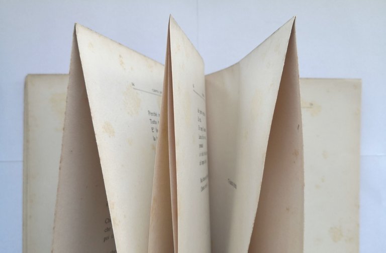 LE VEGLIE liriche di Silvio Dodaro 1929 Casini Libro poesia …