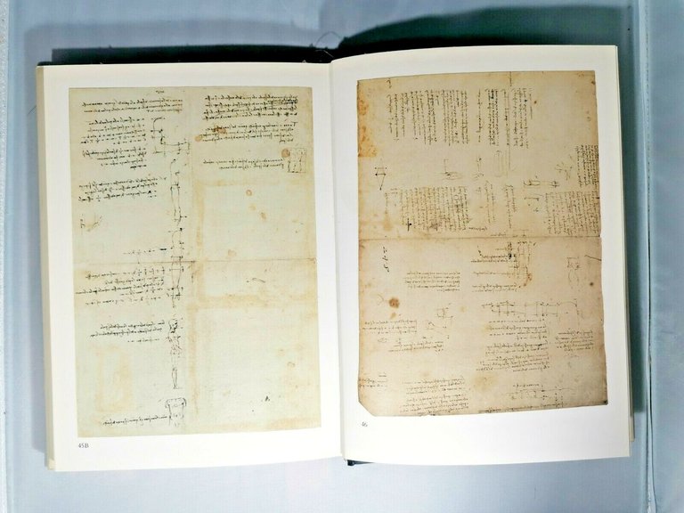 Leonardo Da Vinci Disegni Anatomici Della Biblioteca Reale Di Windsor …