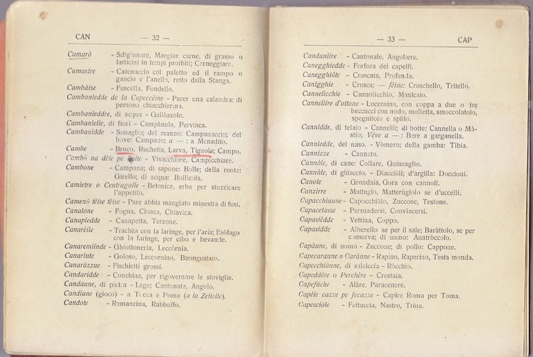 LESSICO RUBASTINO ITALIANO Bartolo Di Terlizzi 1930 Ruvo Puglia libro …