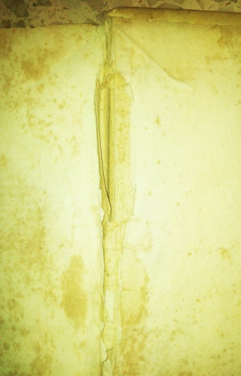 LEXICON CICERONIANUM Marii Nizoli Scoti 1734 Manfrè libro antico Cicerone