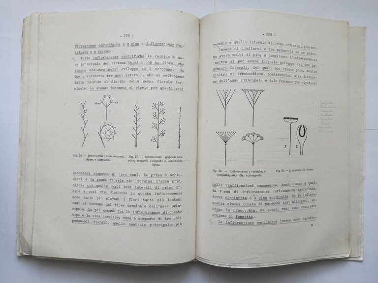 LEZIONI DI BOTANICA FARMACEUTICA Albina Messeri 1951 Luigi Macrì Libro …