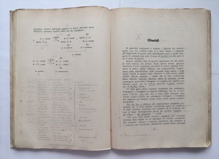 LEZIONI DI CHIMICA ORGANICA Riccardo Giusa 1943 Edizioni Universitarie Libro