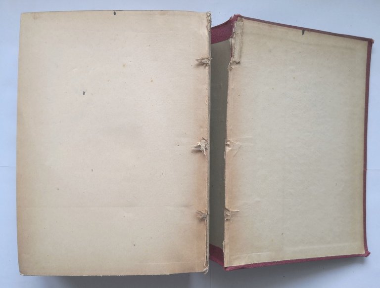 LEZIONI DI MECCANICA RAZIONALE di Carlo Cattaneo 1959 Pellegrini Libro