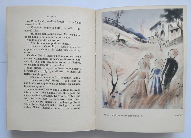 LISA BETTA romanzo di Giuseppe Fanciulli 1936 SEI libro illustrato …