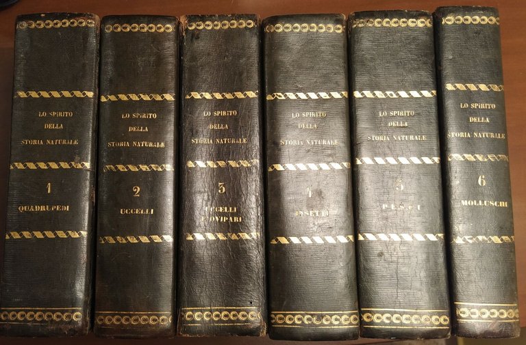LO SPIRITO DELLA STORIA NATURALE di BUFFON 6 Volumi Completo …