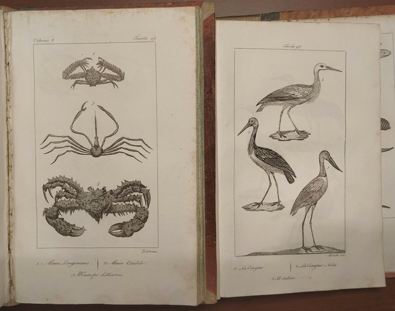 LO SPIRITO DELLA STORIA NATURALE di BUFFON 6 Volumi Completo …