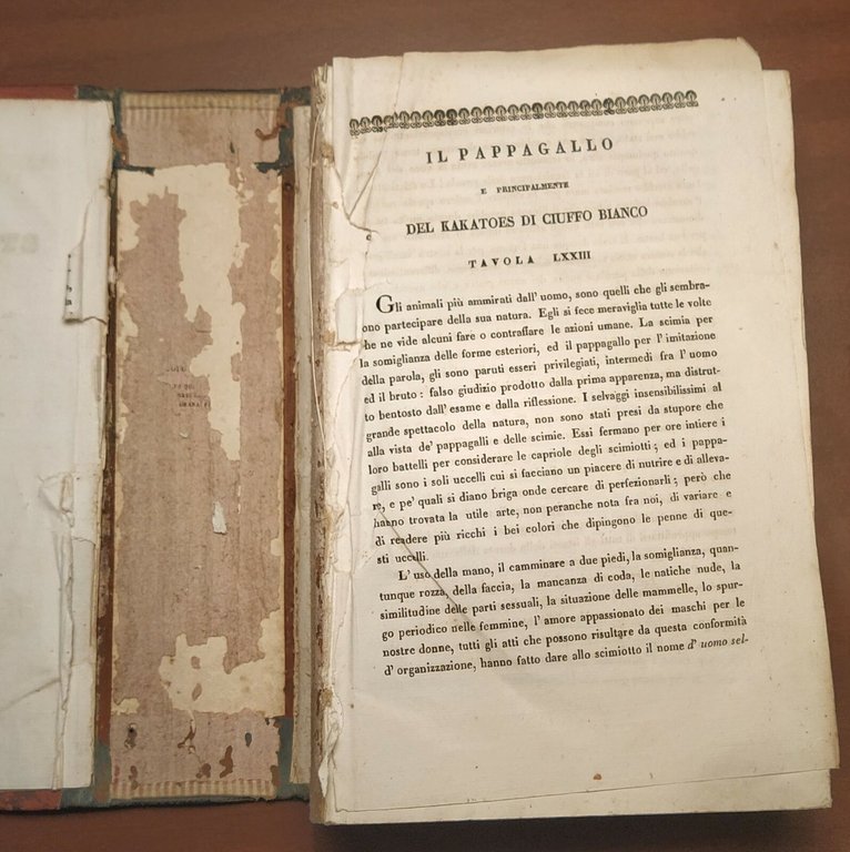 LO SPIRITO DELLA STORIA NATURALE di BUFFON 6 Volumi Completo …