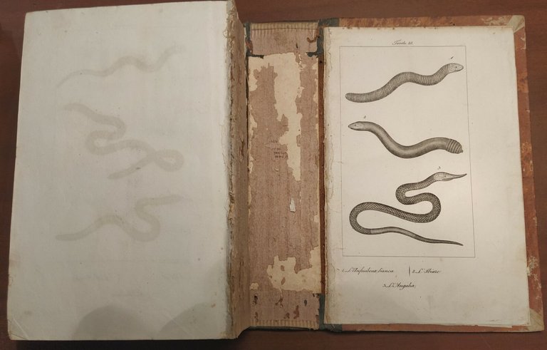 LO SPIRITO DELLA STORIA NATURALE di BUFFON 6 Volumi Completo …