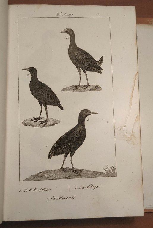 LO SPIRITO DELLA STORIA NATURALE di BUFFON 6 Volumi Completo …