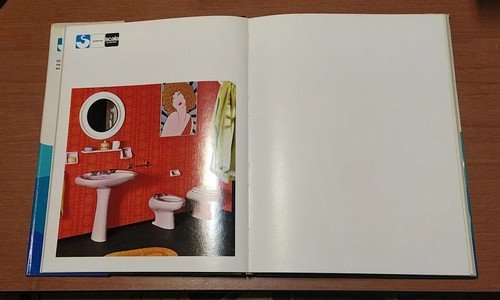 LOCALI DIFFICILI manuale di ambientazione del bagno - Ceramica Scala …