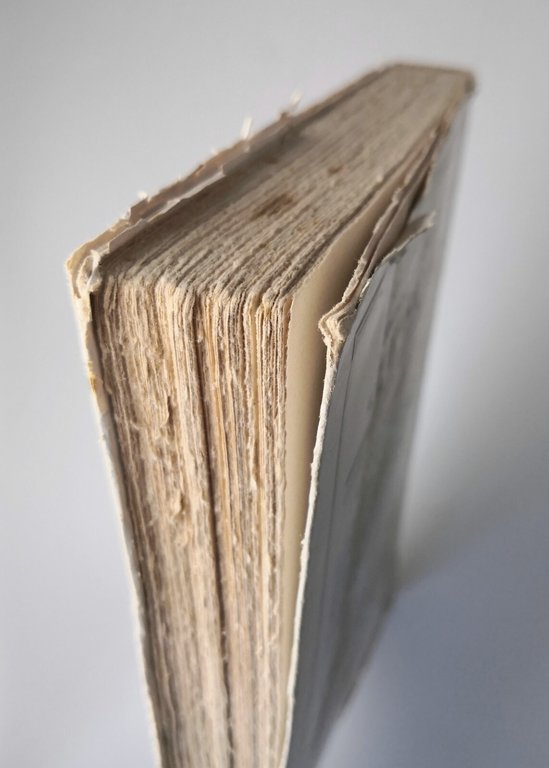 LUGLIO 14 di Emilio Ludwig 1932 Mondadori Libro I guerra …