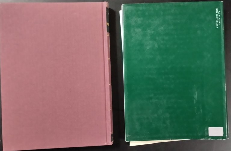 MACHIAVELLI di Ettore Janni 1989 Dall'Oglio Libro biografia su Nicolò