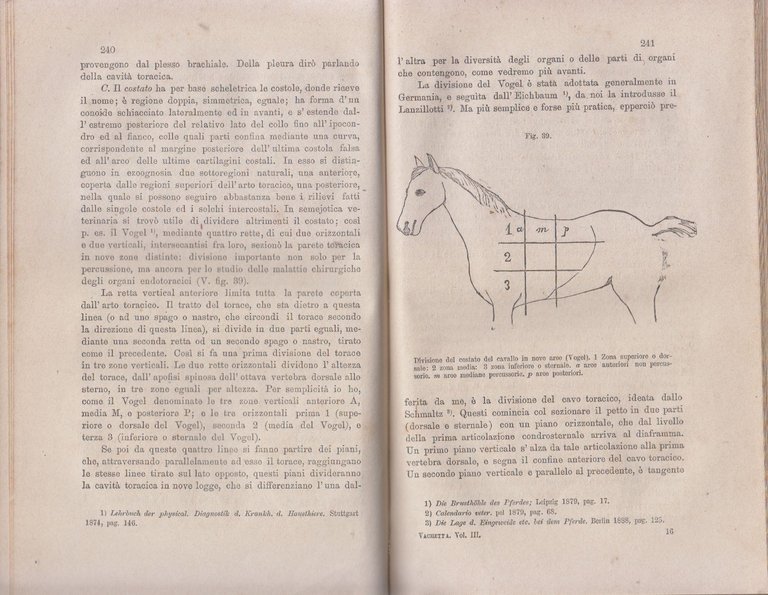 MALATTIE APPARATI RESPIRATORIO UROGENITALE ANIMALI DOMESTICI di Vachetta 1890 | Immagine Gallery 2