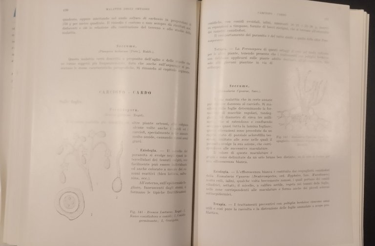 MALATTIE DELLE PIANTE di Lauro Pasinetti 1953 Hoepli Libro patologia …