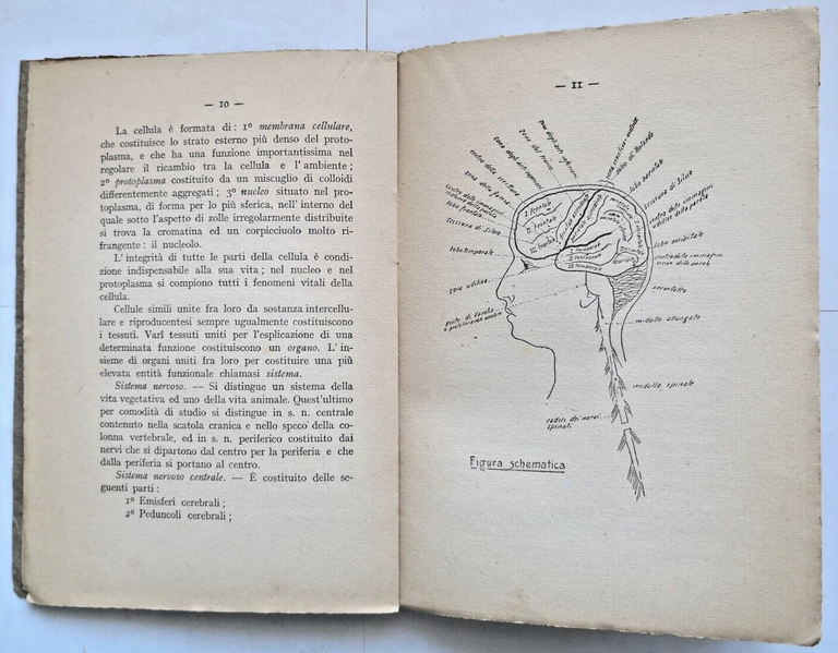 MANUALE D'IGIENE SCOLASTICA di Ilario Romanelli 1923 Vallecchi libro vintage
