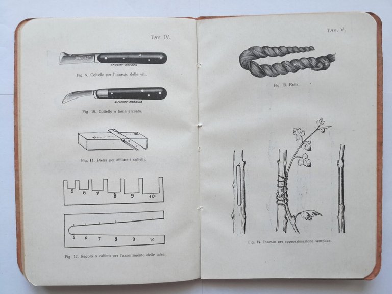 MANUALE DELL'INNESTATORE di Bernini Ottorino 1927 Paravia libro agricoltura