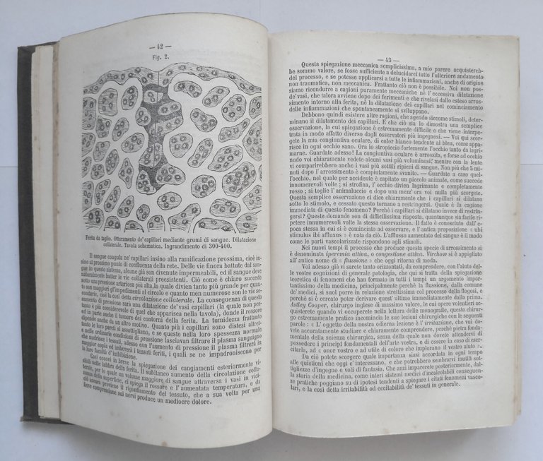 MANUALE DI PATOLOGIA E TERAPIA CHIRURGICA GENERALE Teodoro Billroth 1868 …