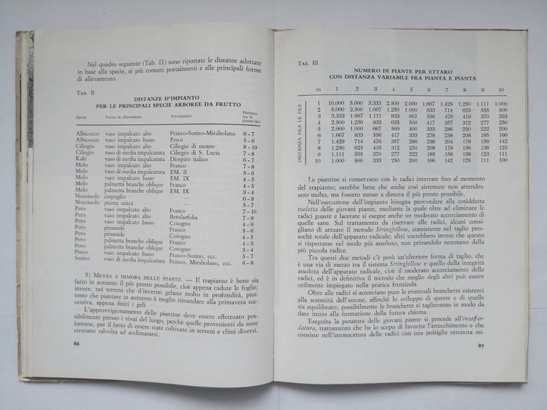 MANUALE PRATICO DI FRUTTICOLTURA Raffaele Carlone 1964 Istituto San Paolo …