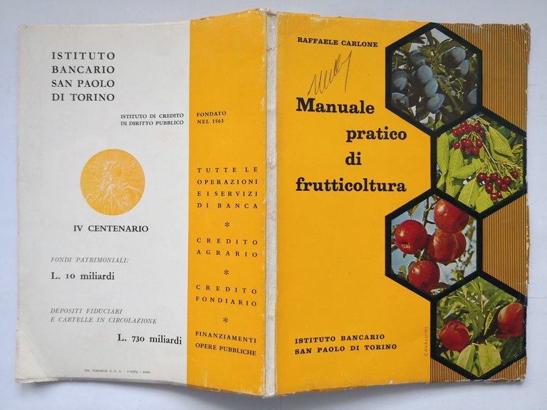 MANUALE PRATICO DI FRUTTICOLTURA Raffaele Carlone 1964 Istituto San Paolo …