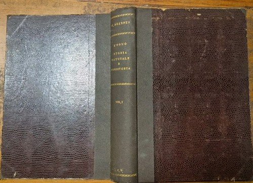 Maurizio Hoernes UOMO STORIA NATURALE E PREISTORIA volume I 1912 …