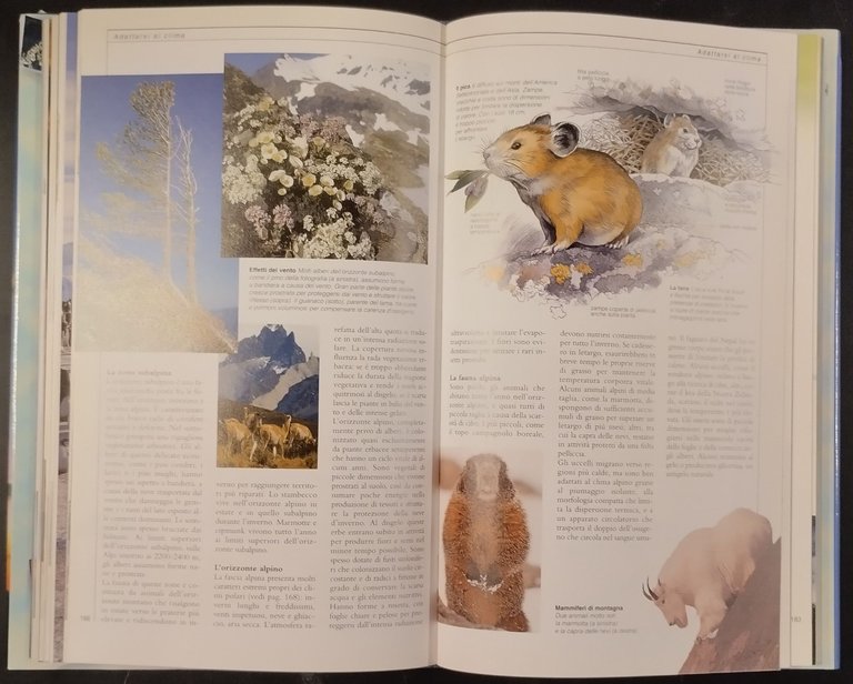 METEOROLOGIA I LIBRI DELLA NATURA di Burroughs Crowder 1997 DeAgostini …