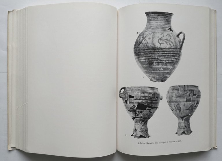 METROPOLI E COLONIE DI MAGNA GRECIA 1965 L'Arte Tipografica Libro …