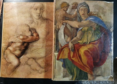 MICHELANGELO Artista Pensatore Scrittore 1965 2 volumi in cofanetto libro …
