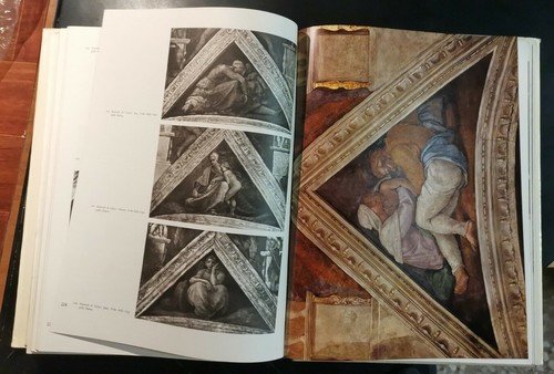 MICHELANGELO Artista Pensatore Scrittore 1965 2 volumi in cofanetto libro …