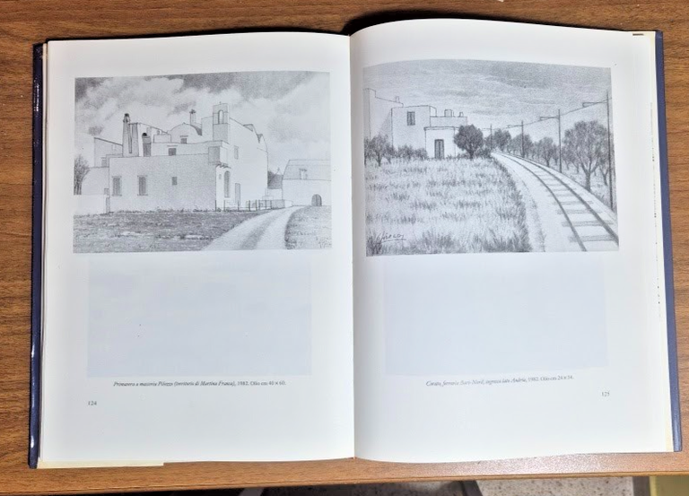 MICHELE CHIECO di Cosimo Lanzo 1986 Schena Editore Libro autografo … | Immagine Gallery 4