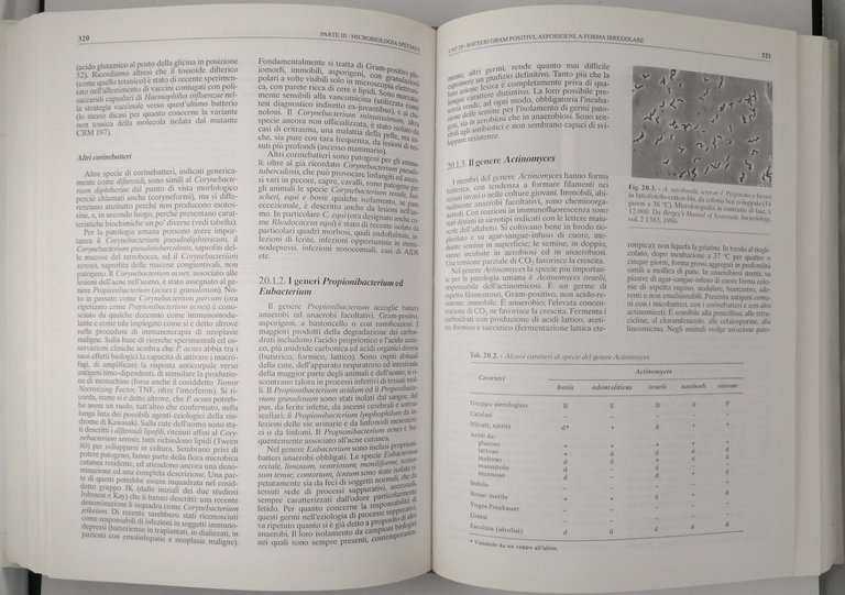 MICROBIOLOGIA MEDICA di Bendinelli Chezzi Fumarola Pitzurra 1992 Monduzzi Libro